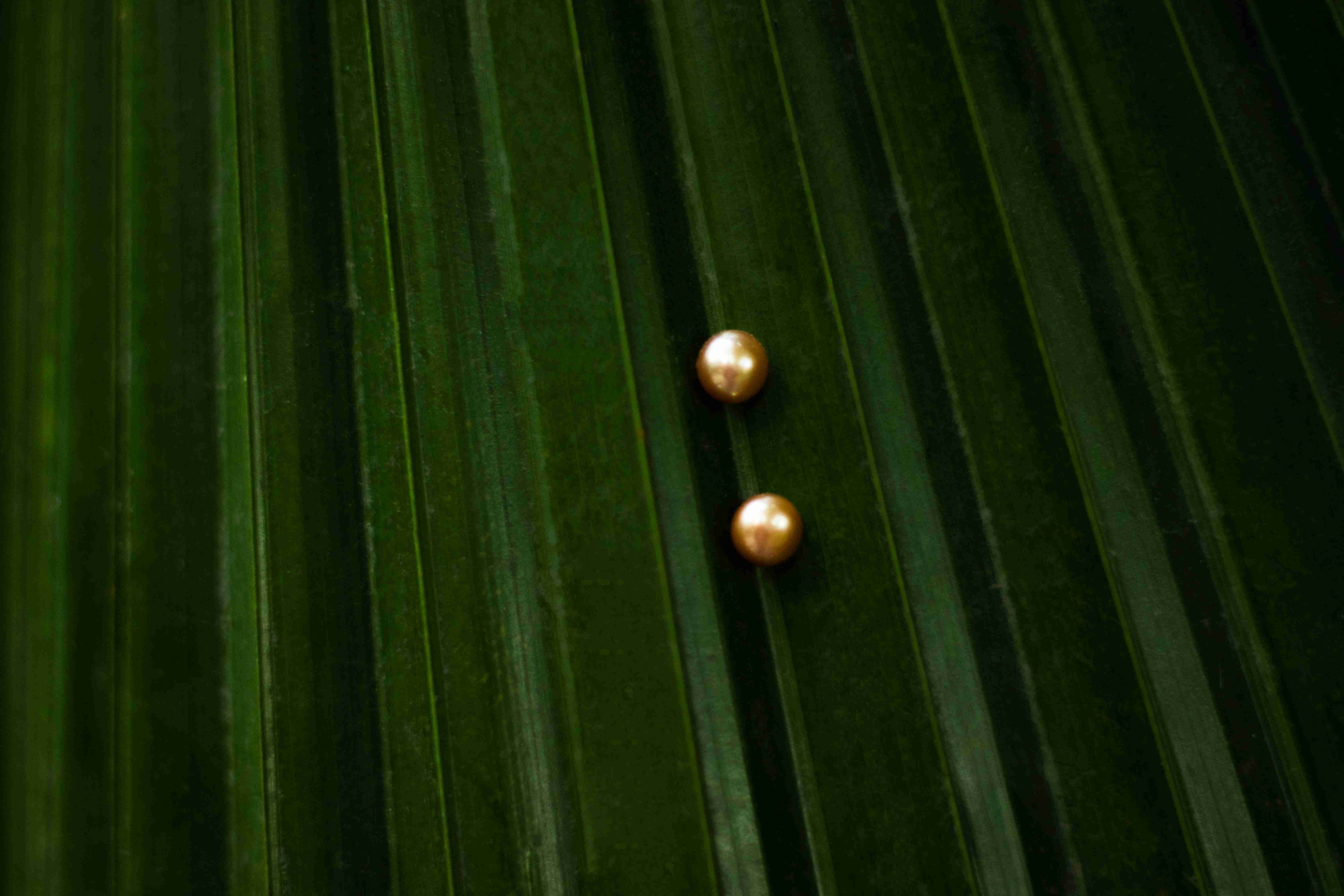 Studs or earrings category