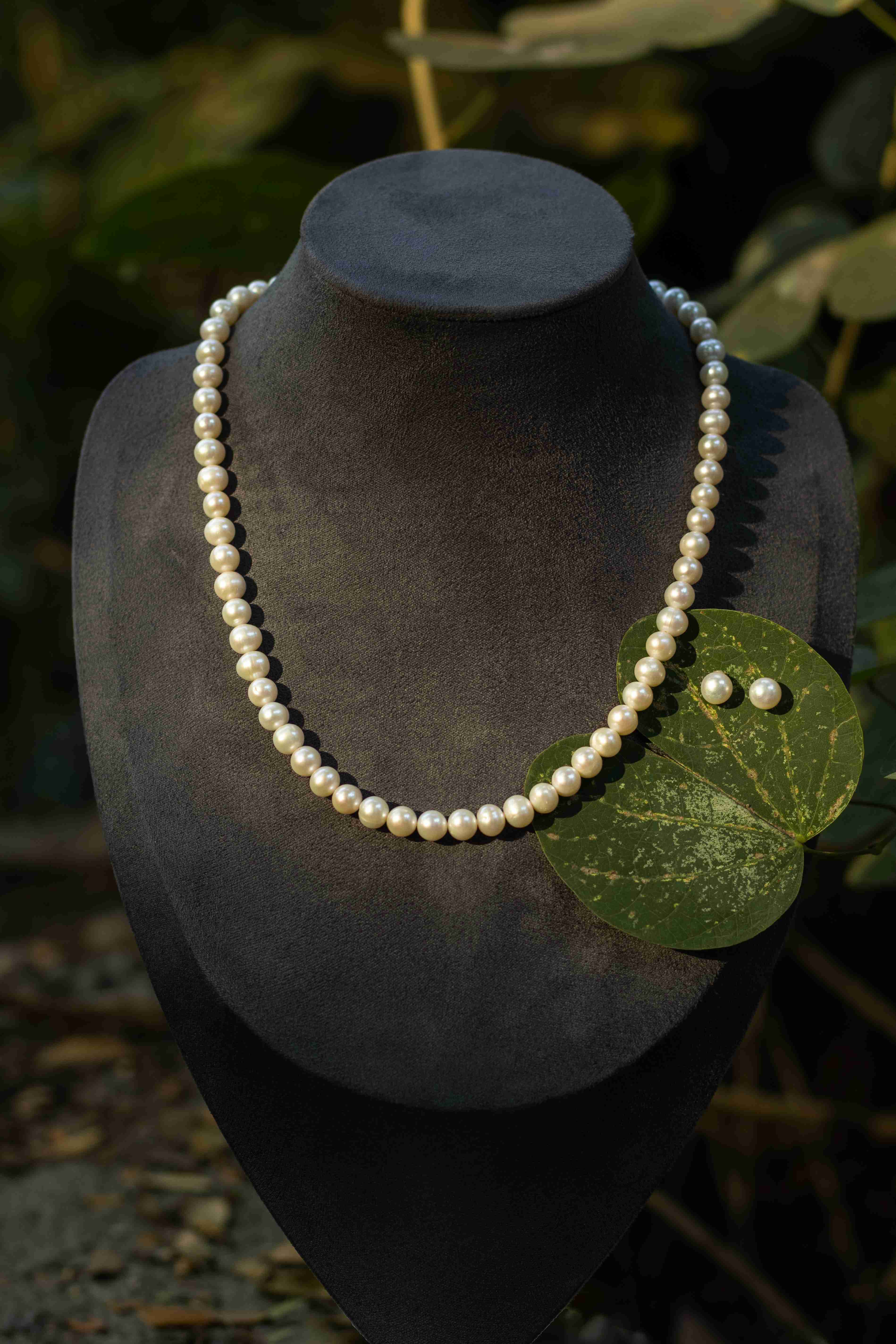 Classic Ivory pearl necklace