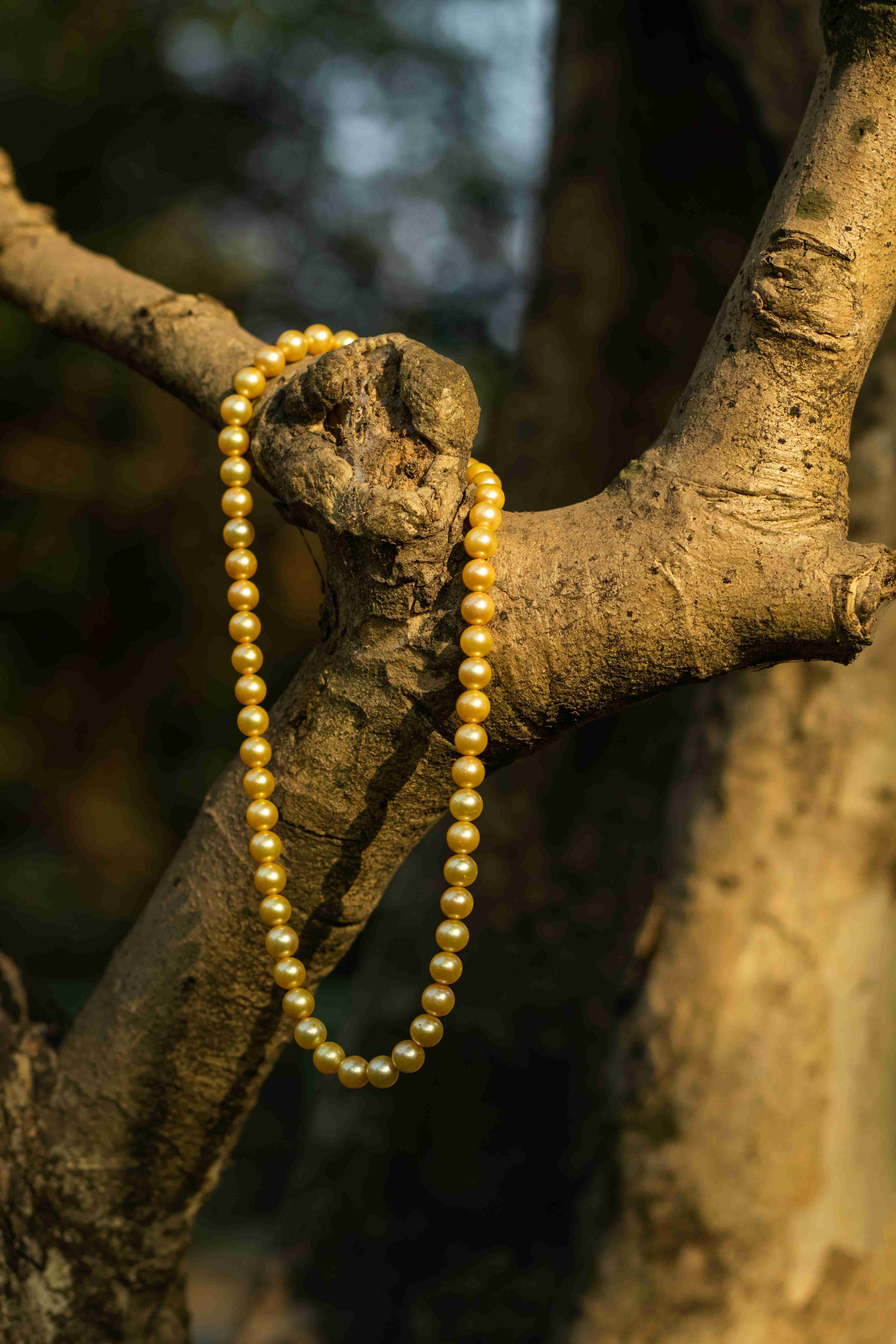 Golden Ivory pearl necklace